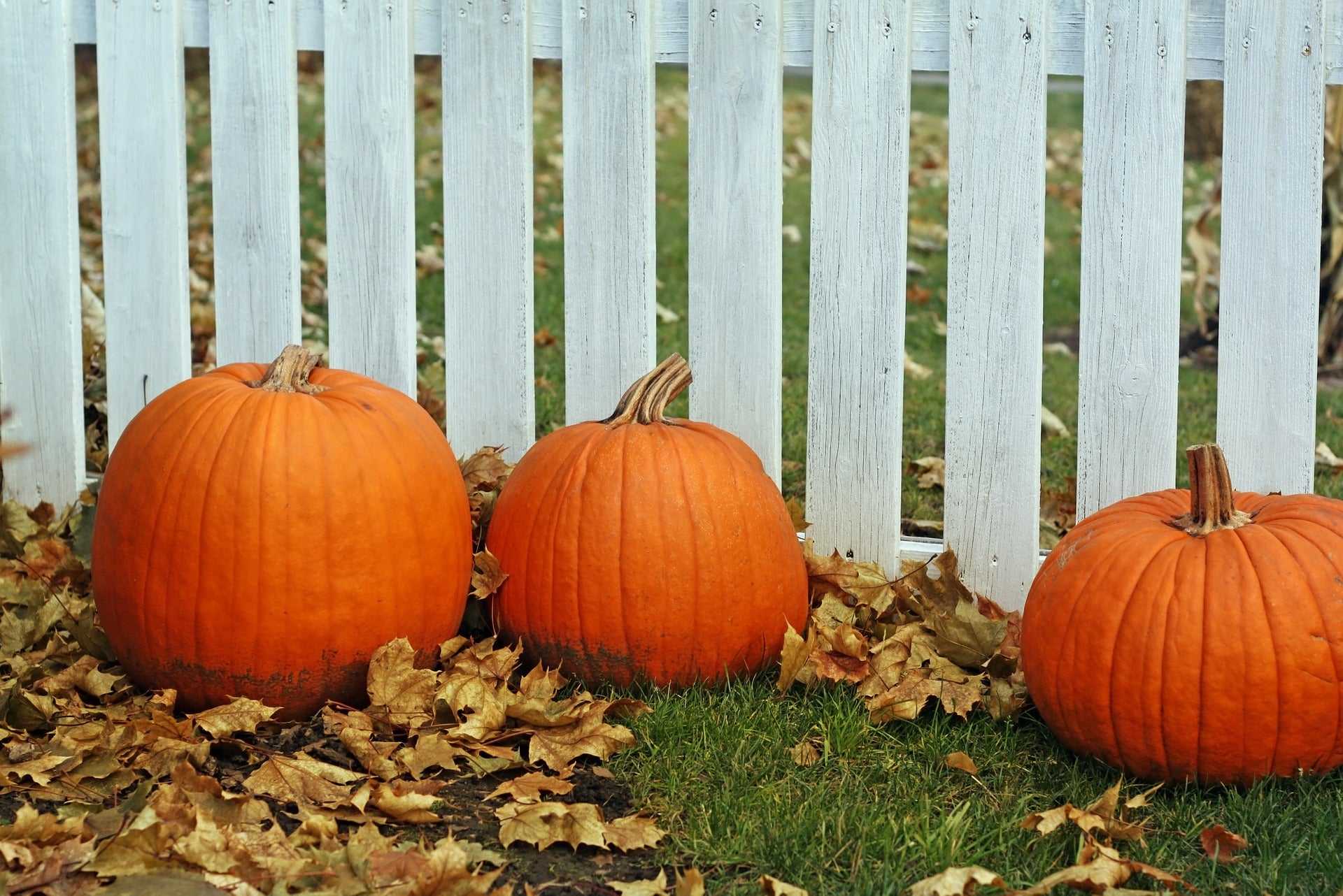 5 Fabulous Thanksgiving Gift Ideas to Impress Your Family and Friends